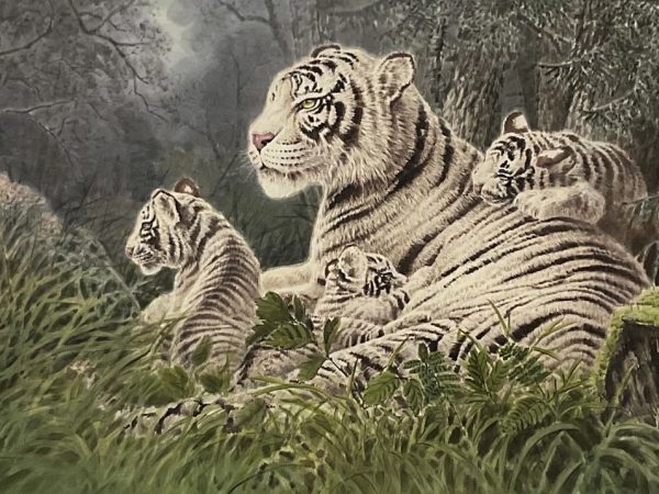 White Tigers by Pak Chol Hong